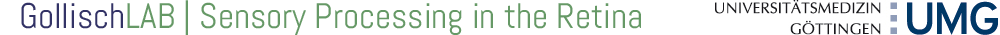 Sensory Processing in the Retina Logo