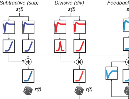 Shahidi et al, PLoS Computational Biology 2025